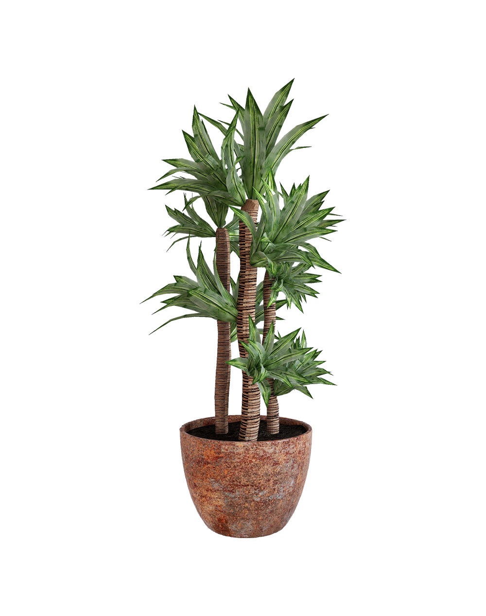 Parodia chrysacanthion